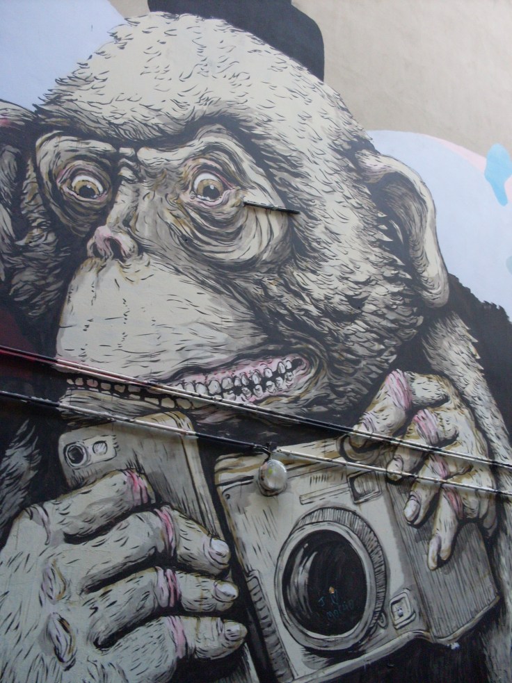 Affe mit Fotapparat, Café Cinema, Berlin