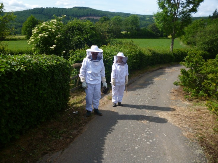 Imker auf dem Jakobsweg