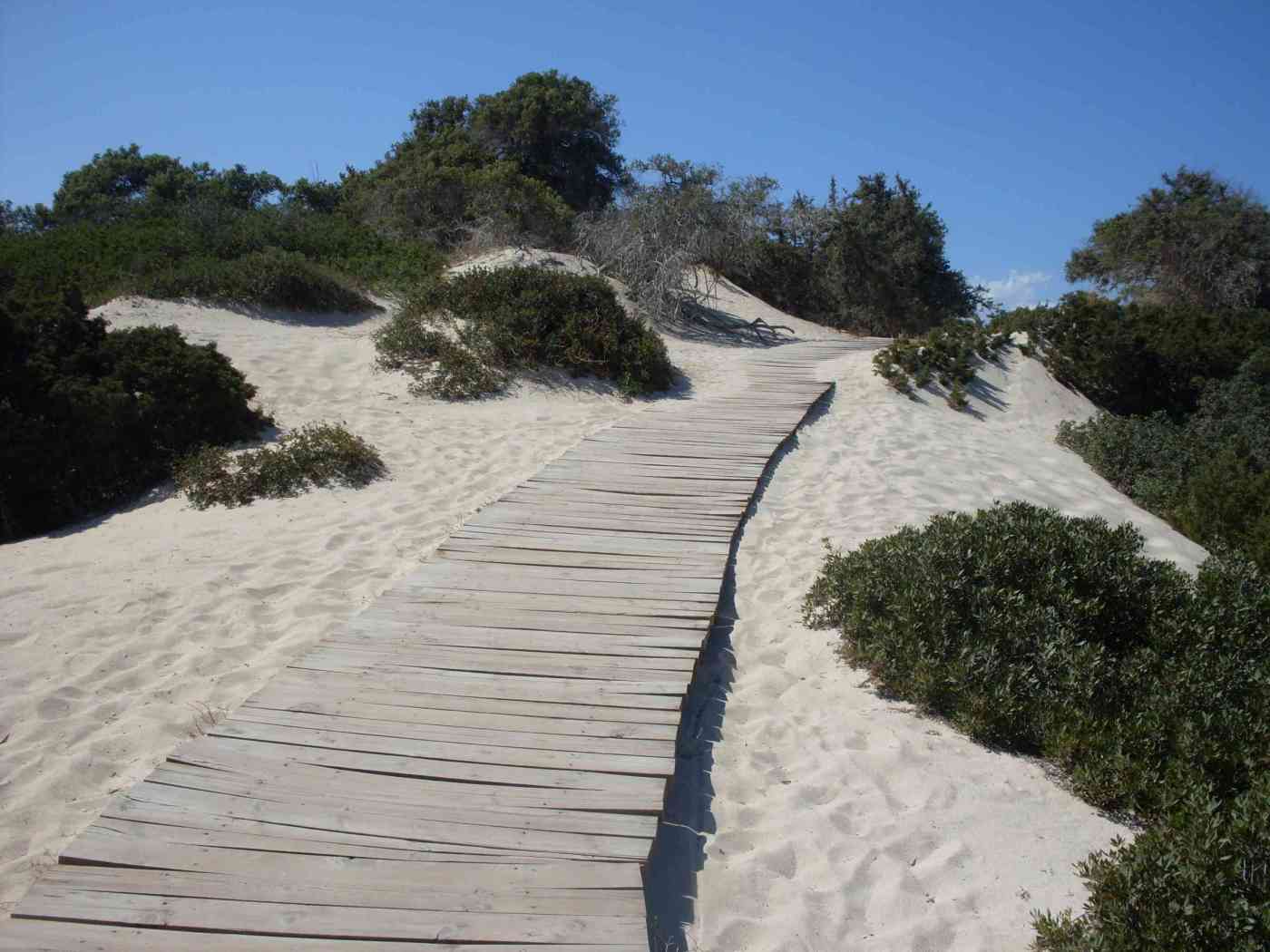 "Pfad ins Ungewisse", schrittWeise 2014