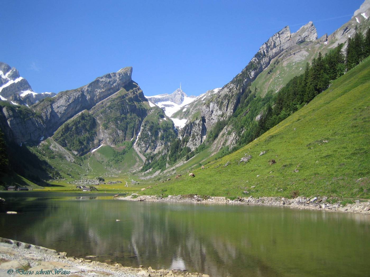 Seealpsee (Fotorechte: Dario SchrittWeise)