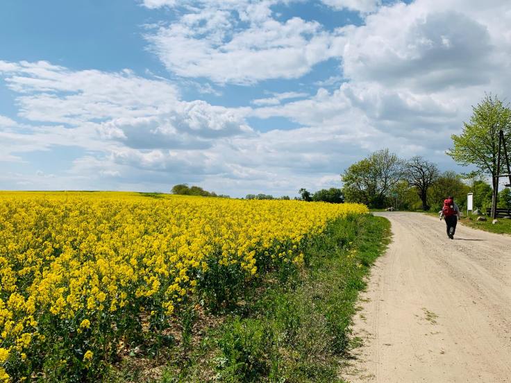 Fotorechte: Annelie Voland, privat