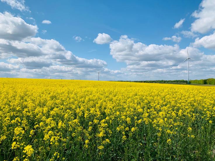 Fotorechte: Annelie Voland, privat