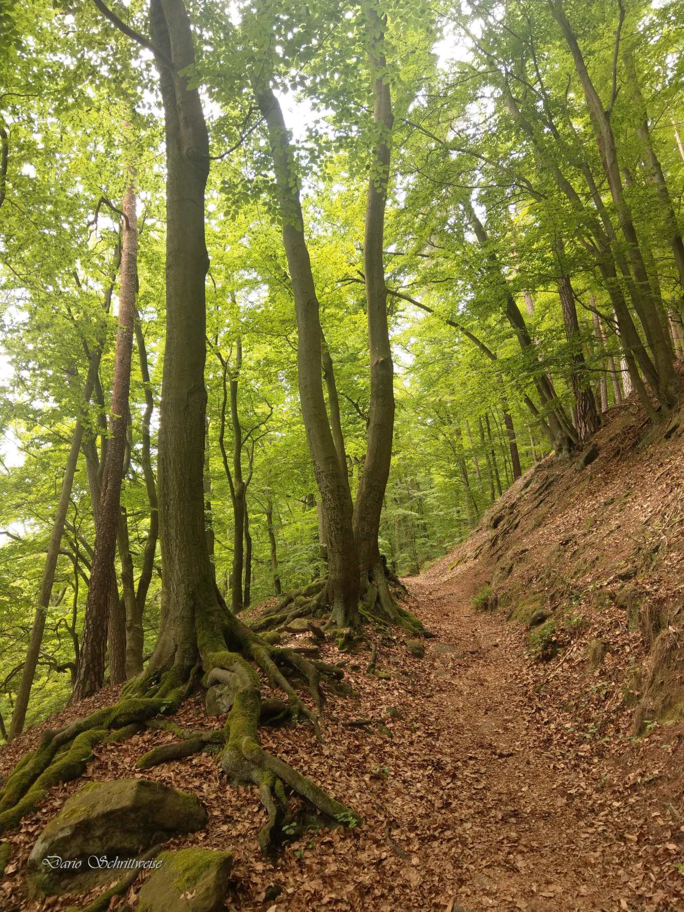 Unterwegs nach Bad Schandau
