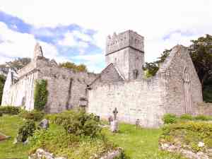 Die Klosterruine Muckross Abbey