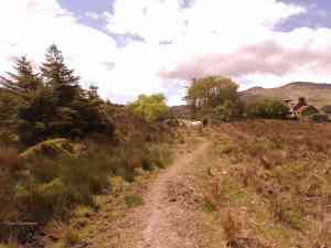 Eine Kuh blockiert den Durchgang