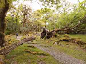 Wieder im Nationalpark