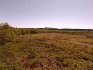 Auf dem Aussichtspunkt