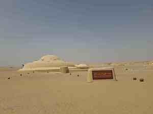 Das Museum für Fossilien und die klimatische Veränderungen