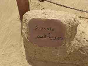 Das Schild der Sirenia