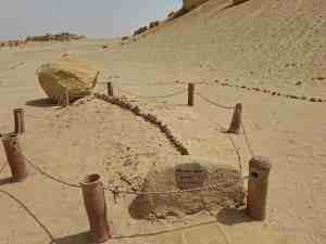 Der Skelett vom Dorudon atrox Wal