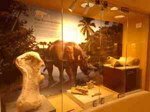 Die weiteren ehemaligen Bewohner der Region