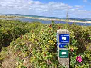 Der Wegweiser mit dem See
