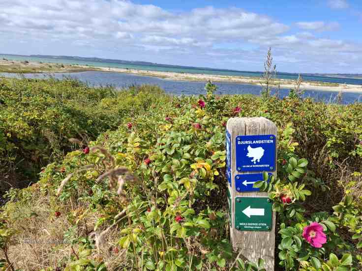 Der Wegweiser mit dem See