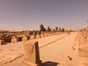 Die Allee der Sphinx