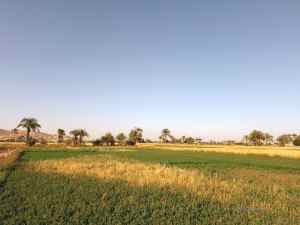 Fruchtbare Felder bei den Kolossen