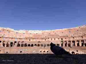 Eine Taube, aber nicht auf dem Dach