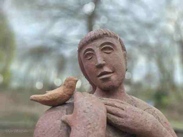 Der Vogel