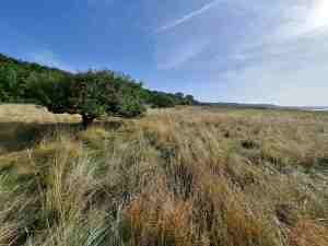 Die Landschaft