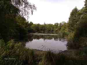 Ein See