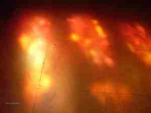 Lichtspiegelung, 2013