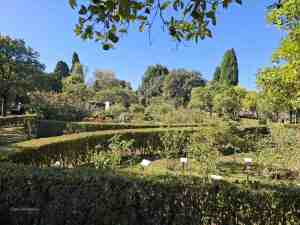 Der Labyrinth